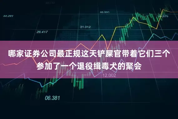 哪家证券公司最正规这天铲屎官带着它们三个参加了一个退役缉毒犬的聚会